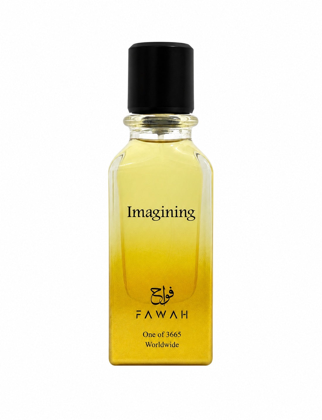 Imagining