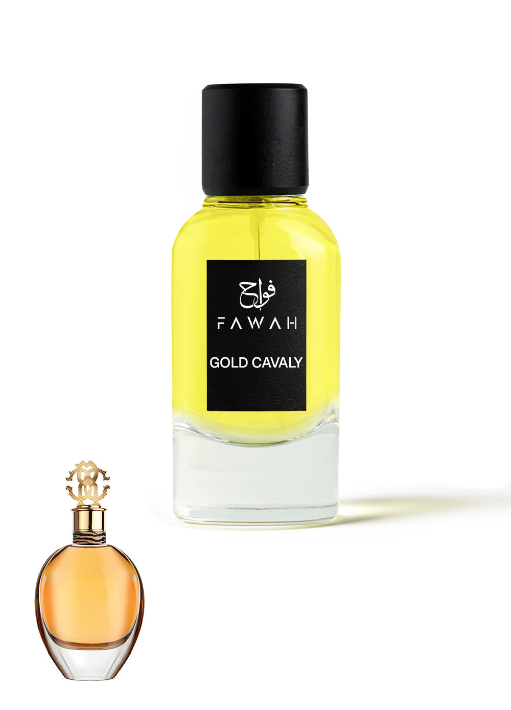GOLD CAVALY