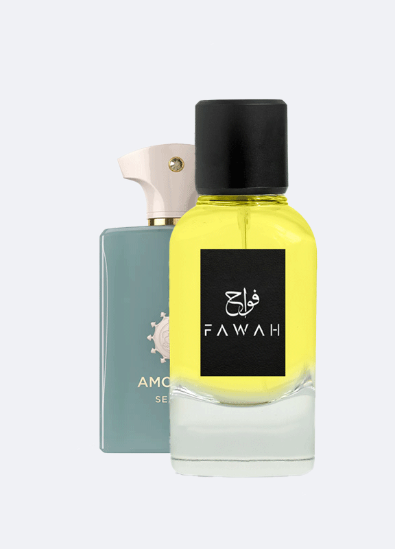 يبحث