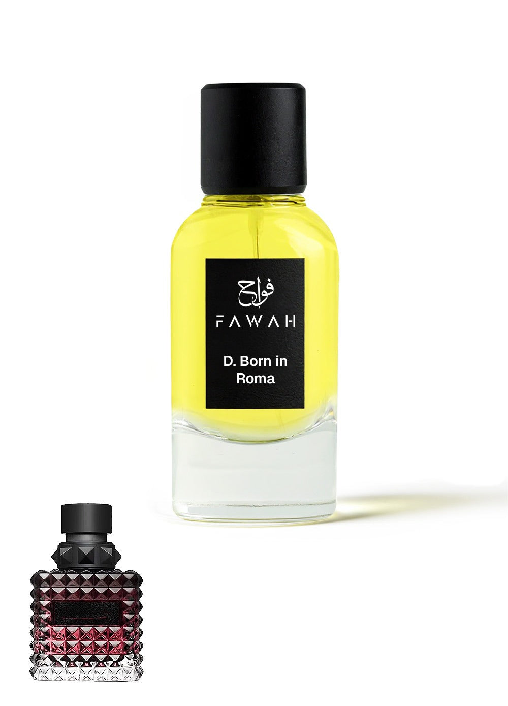 D.BORN IN ROMA